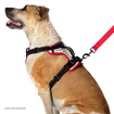 Harnais de canicross Nathan  K9 Dog Harness