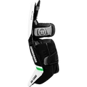 Jambières de gardien de but Warrior Ritual G6 E+ white/black/green Youth