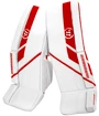 Jambières de gardien de but Warrior Ritual Ritual G5 SR+ Senior