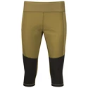 Leggings pour femme Bergans  Fløyen V2 3/4 W Pants Olive Green