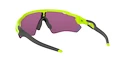 Lunettes de sport Oakley Radar EV Path Retina Burn w/ PRIZM Road