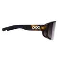 Lunettes de sport POC  Aspire