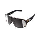 Lunettes de sport POC  Aspire