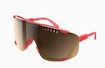 Lunettes de sport POC  Devour Ammolite Coral Translucent