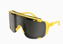 Lunettes de sport POC  Devour Glacial