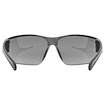 Lunettes de sport Uvex  Equate Black Matt / Smoke (S5330822216)