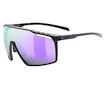 Lunettes de sport Uvex  Mtn Perform Black-Purple M./M.Purp (S5330392116)