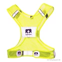 Maillot pour homme Nathan  Streak