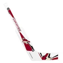 Mini-crosse de hockey Inglasco Inc.  Goalie Arizona Coyotes