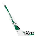 Mini-crosse de hockey Inglasco Inc.  Goalie Dallas Stars