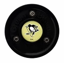 Palet Green Biscuit NHL Pittsburgh Penguins Black