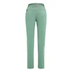 Pantalon pour femme Salewa  Pedroc 3 DST Feldspar green FW22