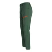 Pantalon pour femme Salewa  Puez DST Raw Green