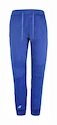 Pantalon pour homme Babolat  Exercise Jogger Pant M Sodalite Blue