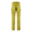 Pantalon pour homme Klättermusen  Grimner Pant Meadow Green/Meadow Green SS22