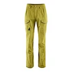 Pantalon pour homme Klättermusen  Grimner Pant Meadow Green/Meadow Green XL