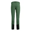 Pantalon pour homme Salewa  Agner Orval 2 DST Raw Green