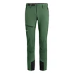 Pantalon pour homme Salewa  Agner Orval 2 DST Raw Green