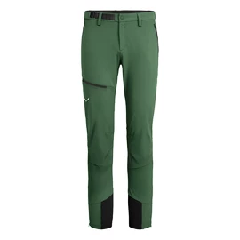 Pantalon pour homme Salewa Agner Orval 2 DST Raw Green