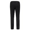 Pantalon pour homme Salewa  Agner Orval 3 DST M Reg Pants