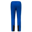 Pantalon pour homme Salewa  Agner Orval 3 DST M Reg Pants