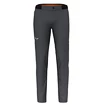 Pantalon pour homme Salewa  Pedroc 4 DST M Reg Pants