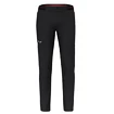 Pantalon pour homme Salewa  Pedroc 4 DST M Reg Pants