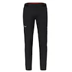 Pantalon pour homme Salewa  Pedroc 4 DST M Reg Pants  M