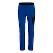 Pantalon pour homme Salewa  Pedroc Light DST Electric 2X