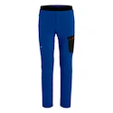 Pantalon pour homme Salewa  Pedroc Light DST Electric 2X