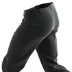 Pantalon pour homme Salomon  M Wayfarer Pants Black