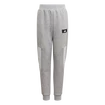 Pantalons de survêtement pour garçon Adidas  Future Icons 3-Stripes Tapered-Leg Pants Medium Grey Heather