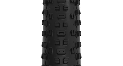 Pneu WTB  Ranger 2.4x29" TCS Light/Fast Rolling SG2
