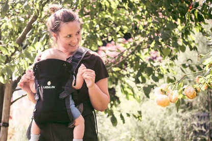 Porte-bébé Little Life  Acorn Baby Carrier