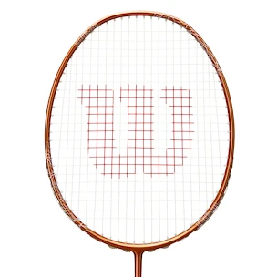 Raquette de badminton Wilson  Vertex 300