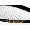 Raquette de squash Head  Graphene 360+ Speed 120 SB