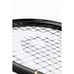 Raquette de squash Head  Graphene 360+ Speed 120 SB
