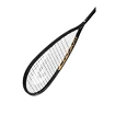 Raquette de squash Head  Graphene 360+ Speed 120 SB