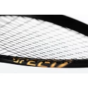 Raquette de squash Head  Graphene 360+ Speed 120 SB