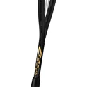 Raquette de squash Head  Graphene 360+ Speed 120 SB
