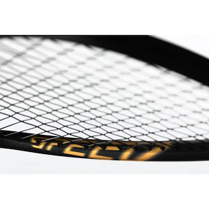 Raquette de squash Head  Graphene 360+ Speed 120 SB