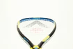 Raquette de squash Karakal  RAW 120
