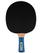 Raquette de tennis de table Donic Schildkröt  Waldner 3000