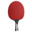 Raquette de tennis de table Joola  Carbon X Pro