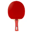 Raquette de tennis de table Joola  Team Junior