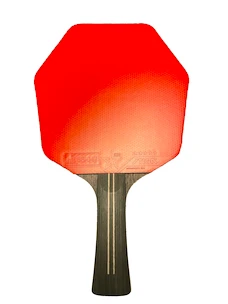 Raquette de tennis de table Stiga Cybershape Pro Carbon Plus 5 Star