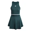 Robe pour femme adidas  Tennis Climacool Y-Dress Aurora Ivy