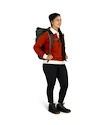 Sac à dos OSPREY TRANSPORTER ROLL TOP PACK euphoria purple/purple ink