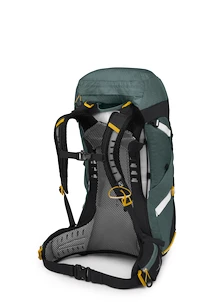 Sac à dos pour femme OSPREY  SIRRUS 36 Succulent Green