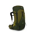 Sac à dos pour homme OSPREY ATMOS AG LT 65 scenic valley/green peppercorn
